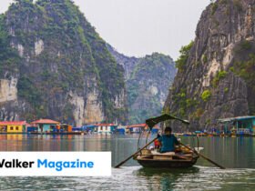 Travel Threetrees VN