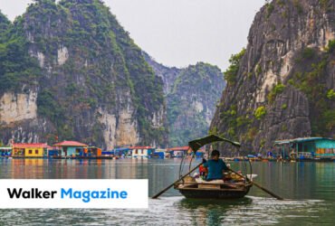 Travel Threetrees VN